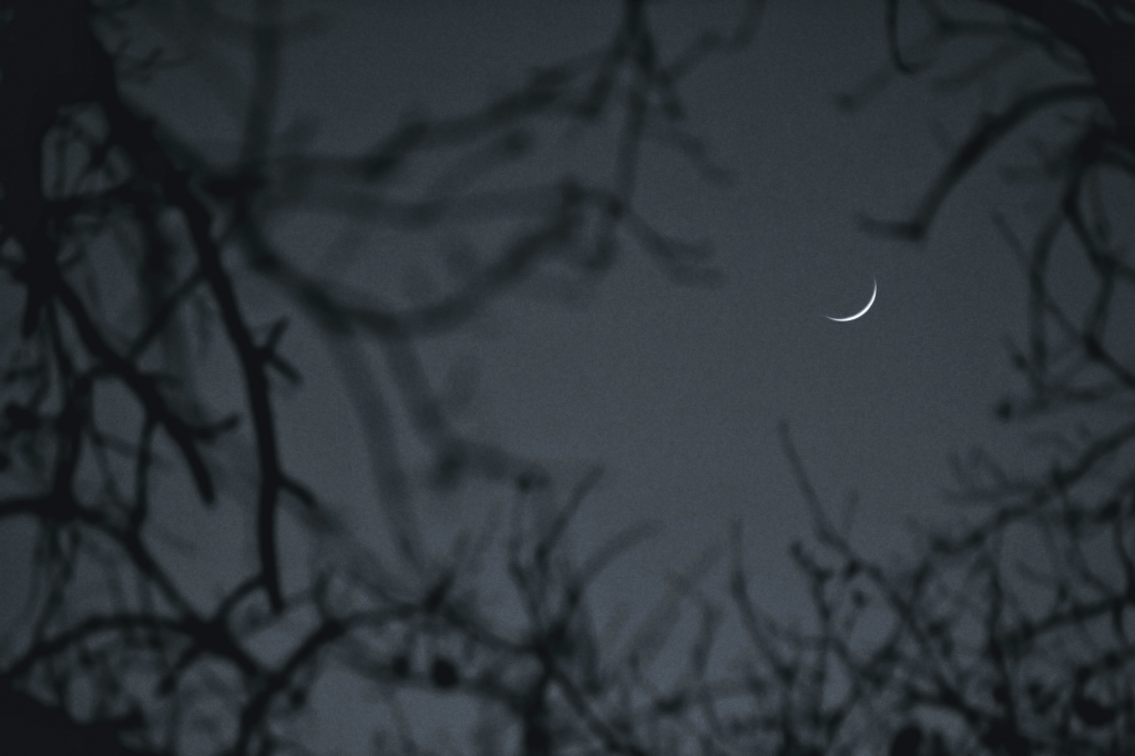 in the night