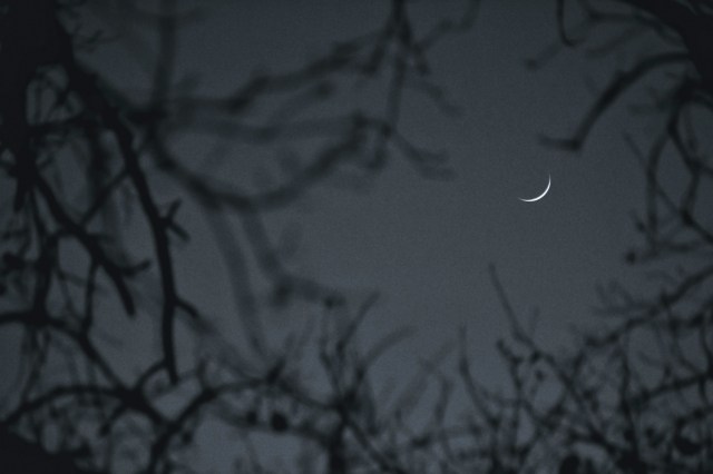 in the night