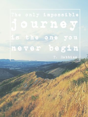 The journey