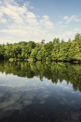 a spasso nel bosco