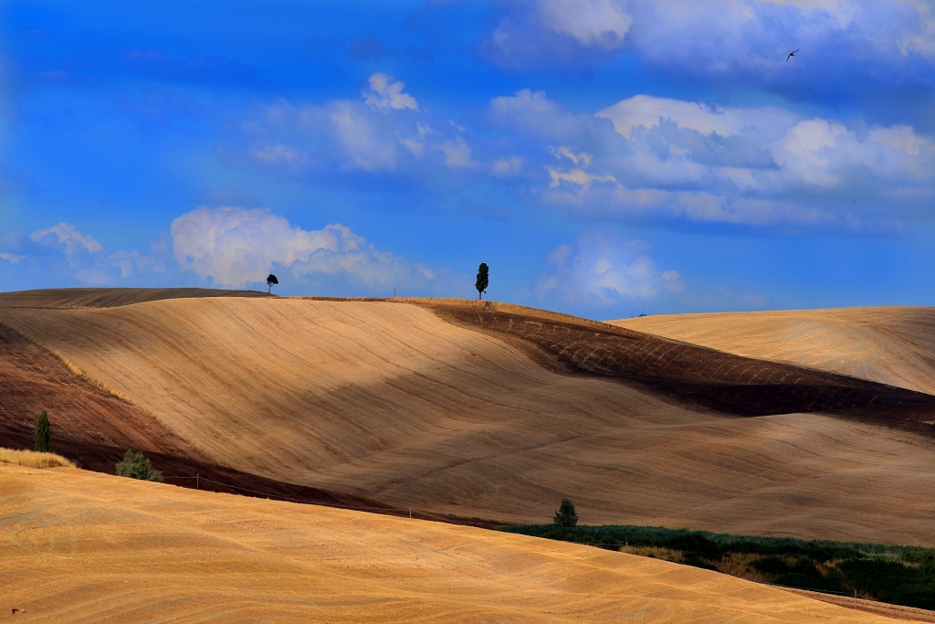 Crete Senesi