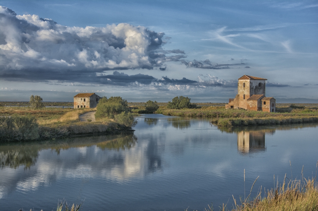 PAESAGGI DEL DELTA - SALINE DI COMACCHIO-DELTA DEL PO (2)