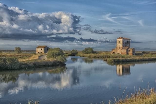 PAESAGGI DEL DELTA - SALINE DI COMACCHIO-DELTA DEL PO (2)