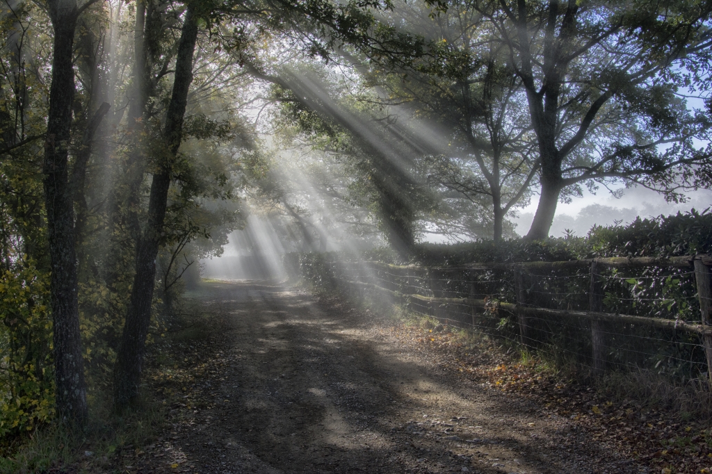 RAGGI DI LUCE (2)