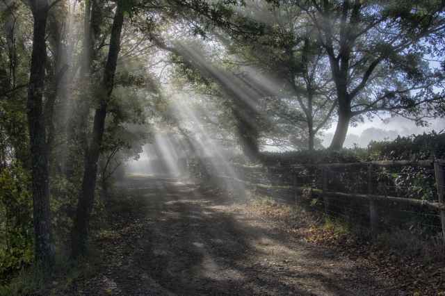RAGGI DI LUCE (2)
