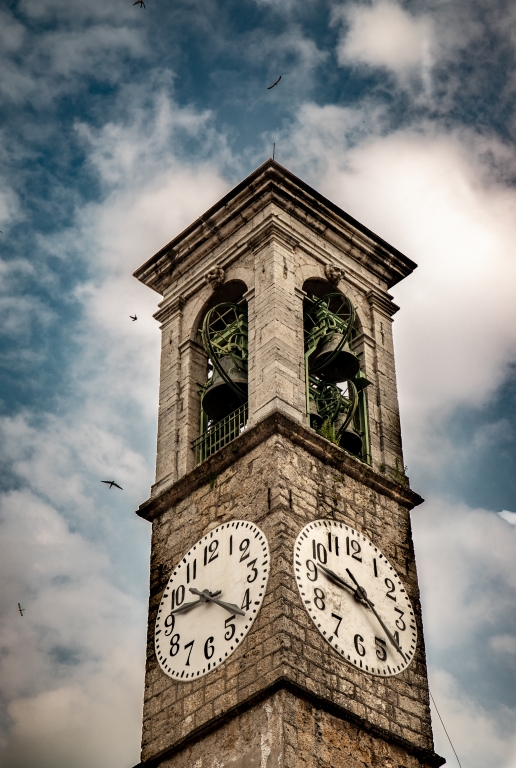 Rondini volano attorno al campanile