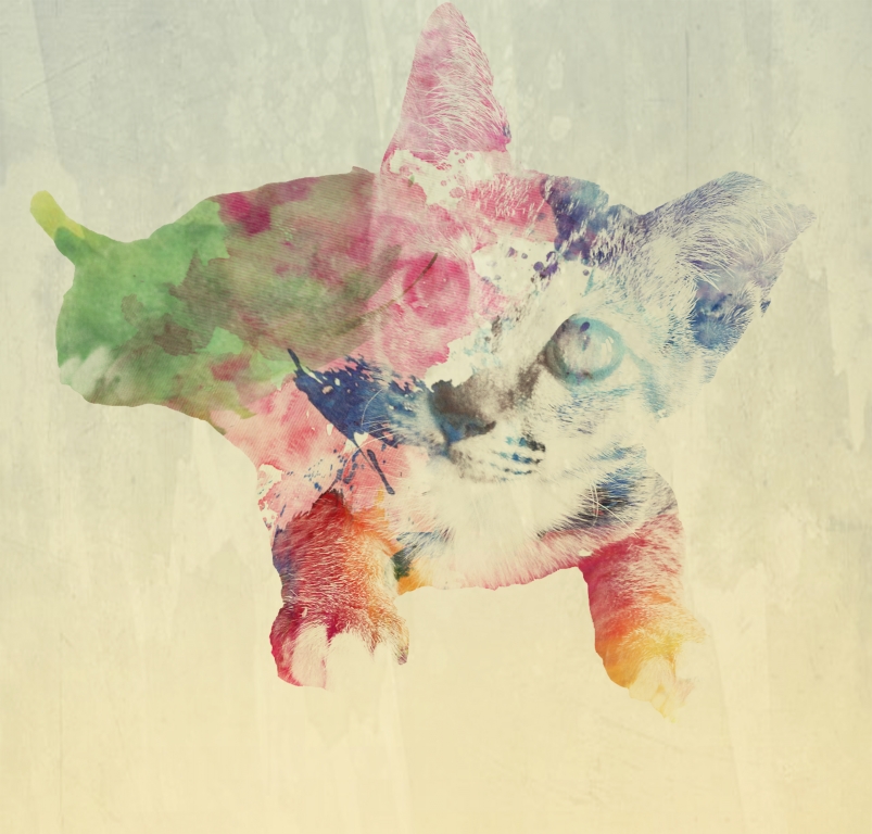 Kitty watercolor