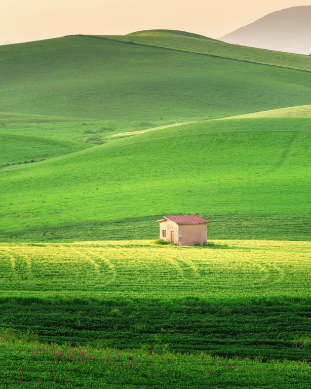 50 sfumature di verde