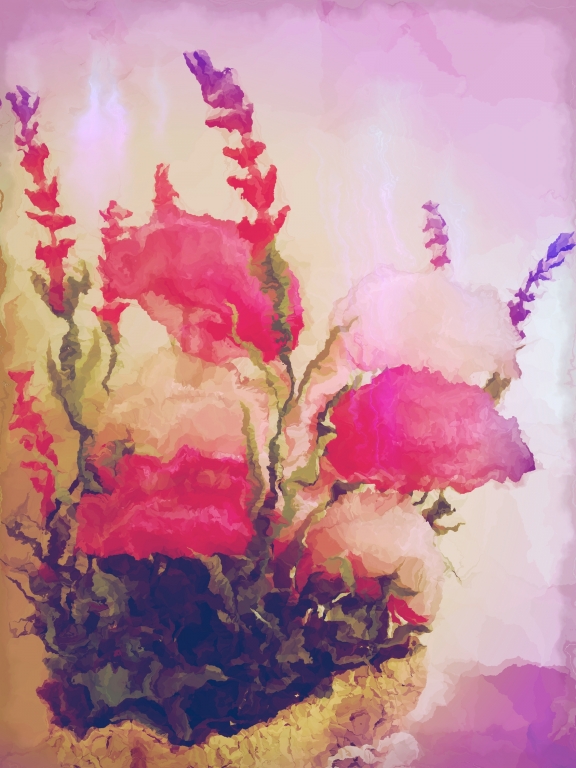 Rosa#1