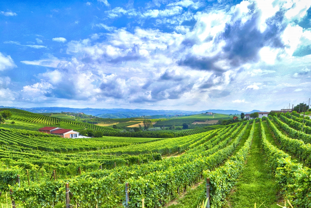 Paesaggio delle Langhe.