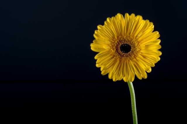 giallo e nero · gaetaf