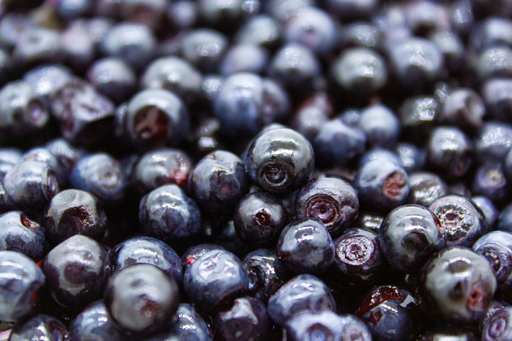 Macro di mirtilli