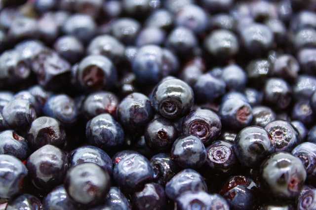Macro di mirtilli