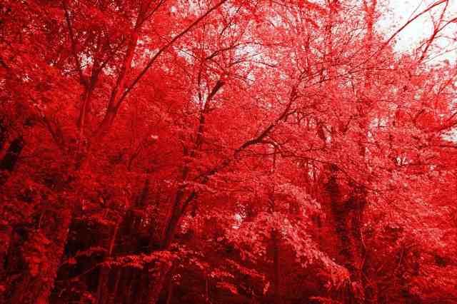 Autunno