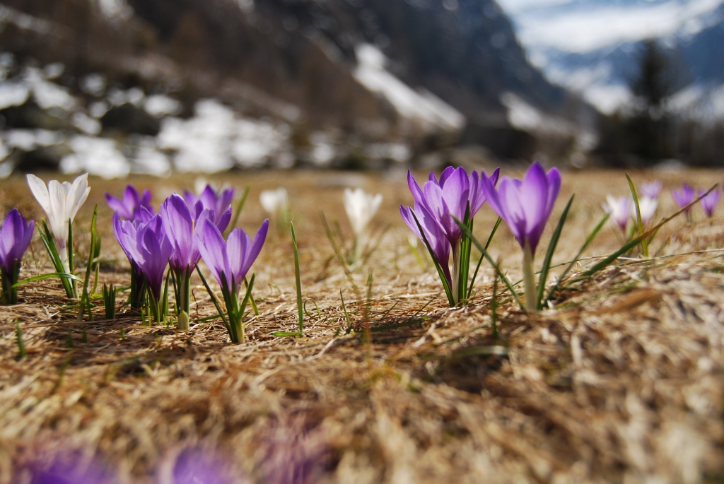 Risveglio primaverile.