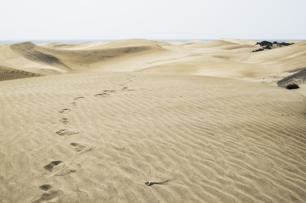Orme tra le dune
