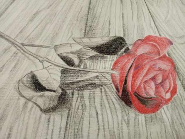 una rosa fuori dal tempo