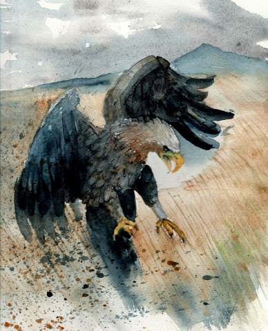 Eagle