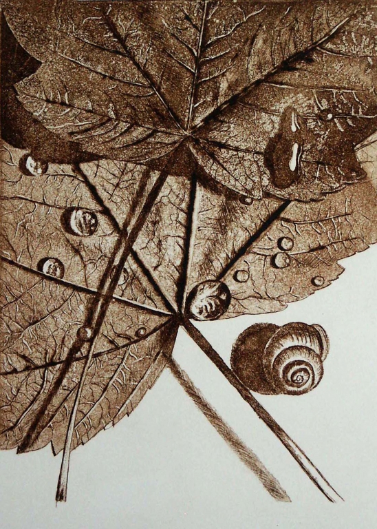 natura morta