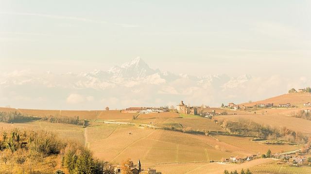Panorama dei vigneti di Barolo in autunno