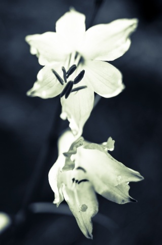 Luminescenza