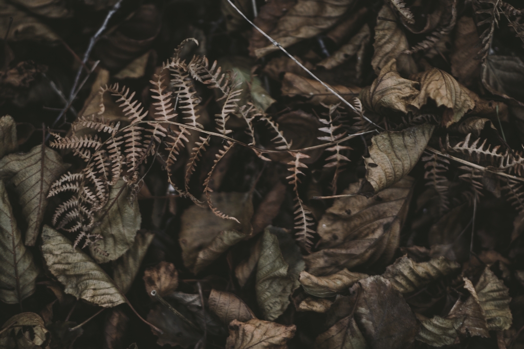autunno