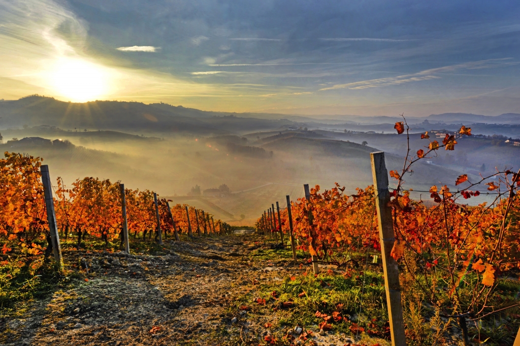 Paesaggio delle Langhe all'alba.
