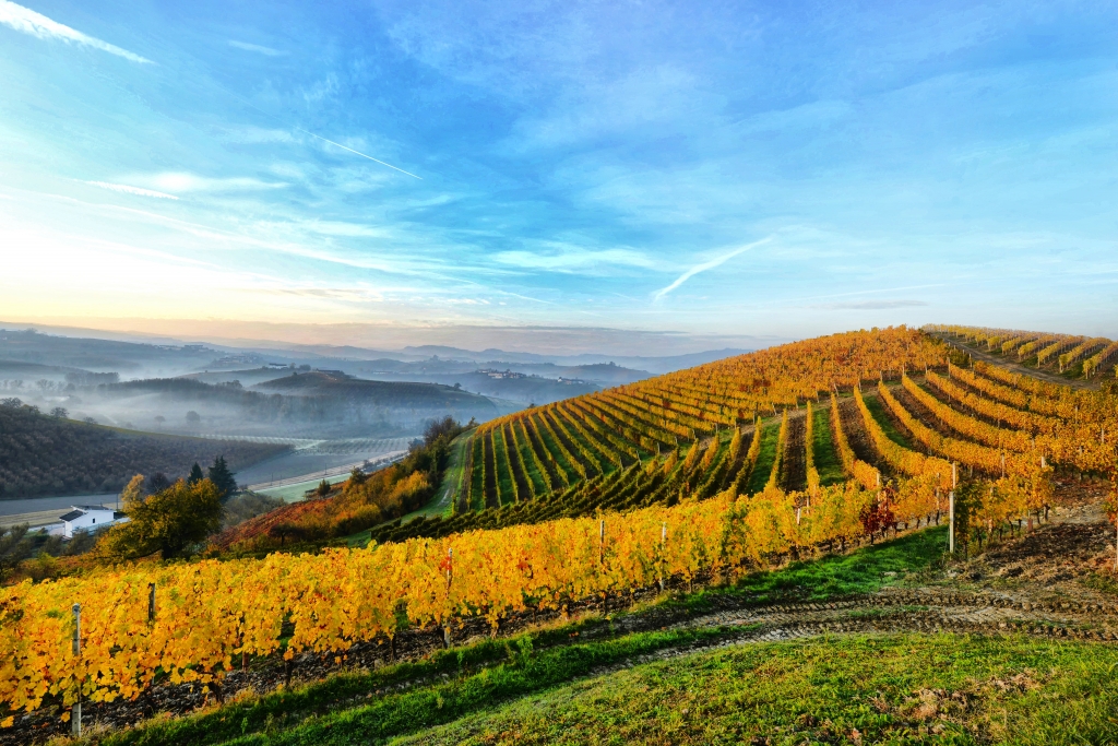 Paesaggio delle Langhe all'alba.