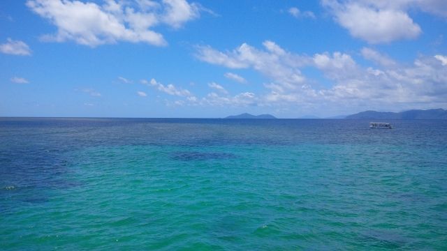Sealing to the Reef