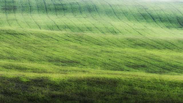 campo verde · cristianghisla
