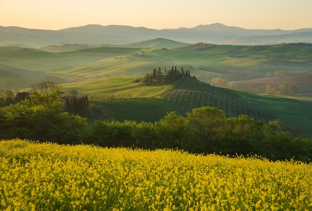Belvedere
