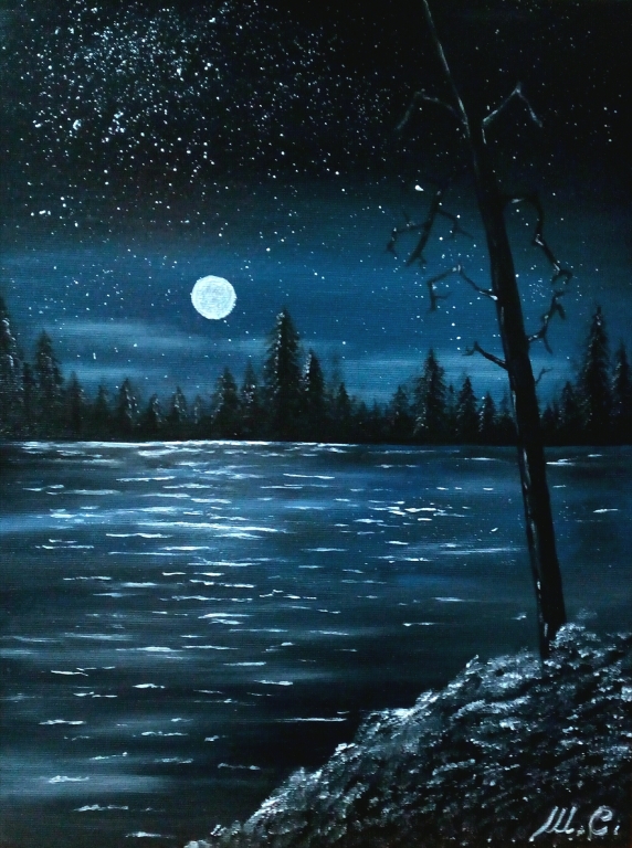 Notte stellata