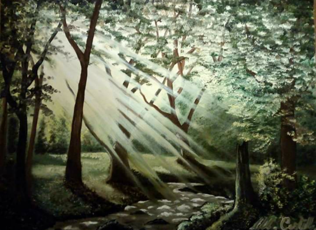 Raggi di luce