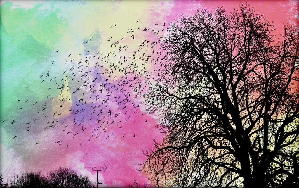 Fly away