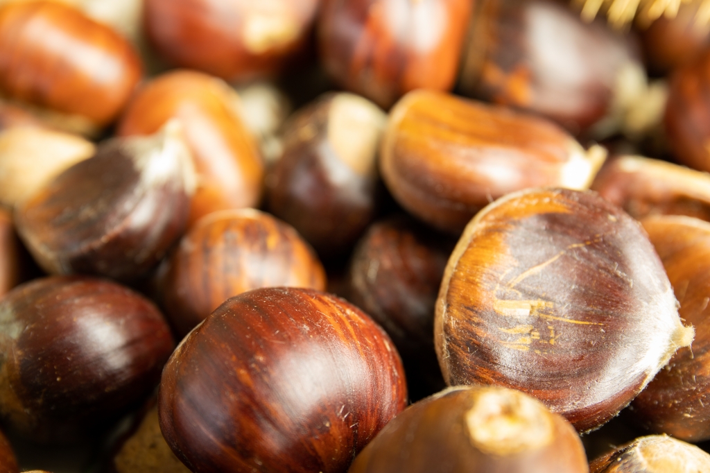 Castagne