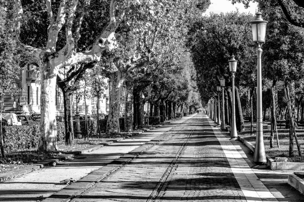 Lungo la via