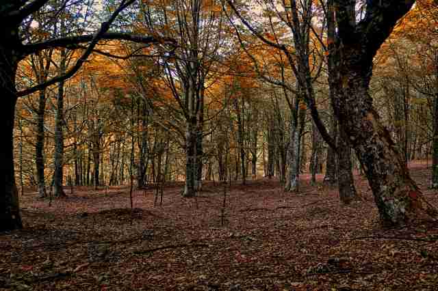 Autunno