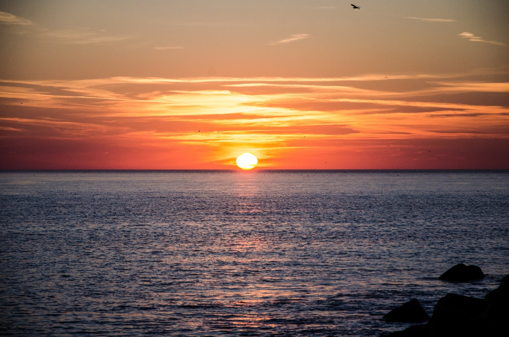 IL TRAMONTO SUL MARE DI ROMA