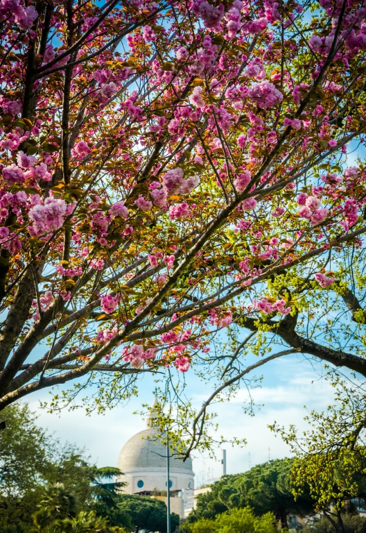 PRIMAVERA ROMANA