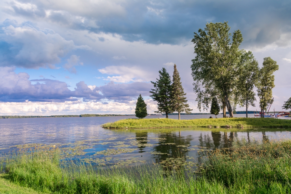 Alberi sul fiume