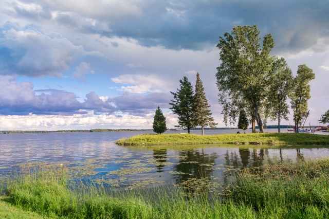 Alberi sul fiume