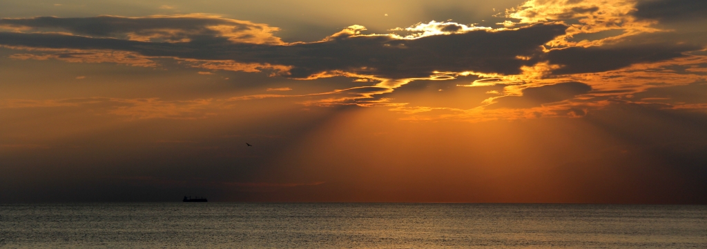 Sea Sunrise