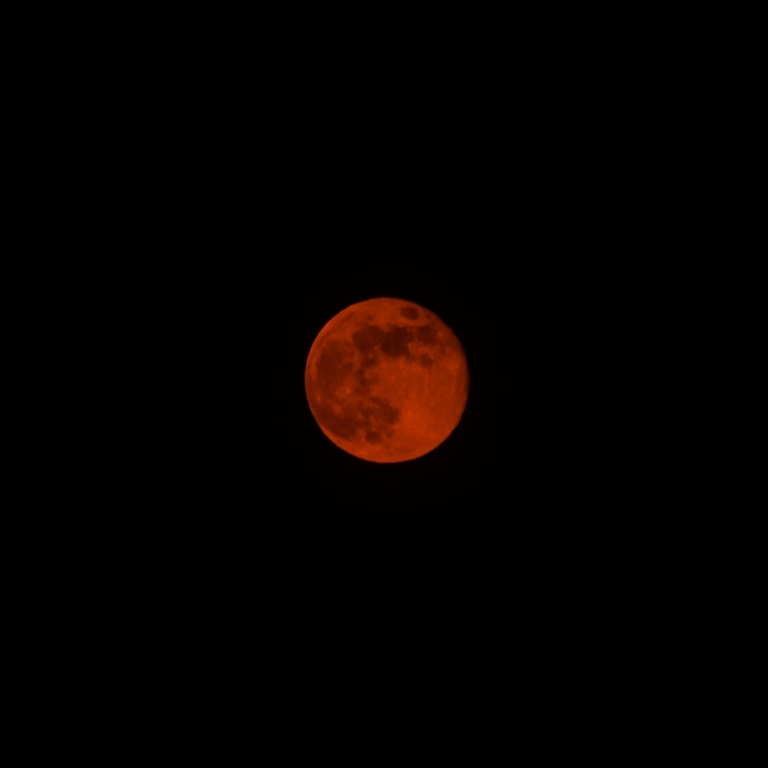 Luna Rossa