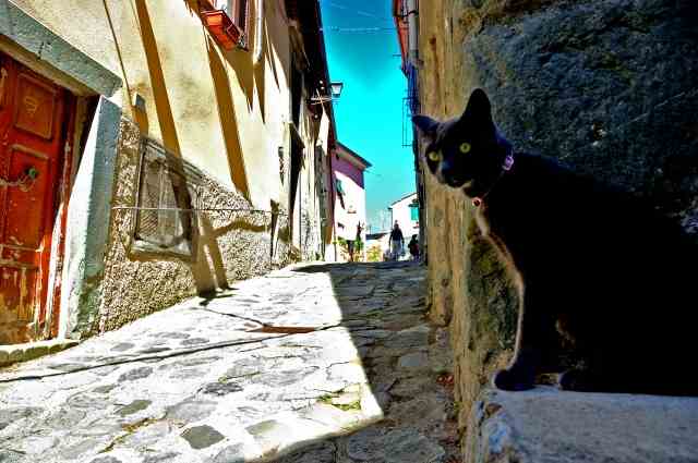 Osservando la strada