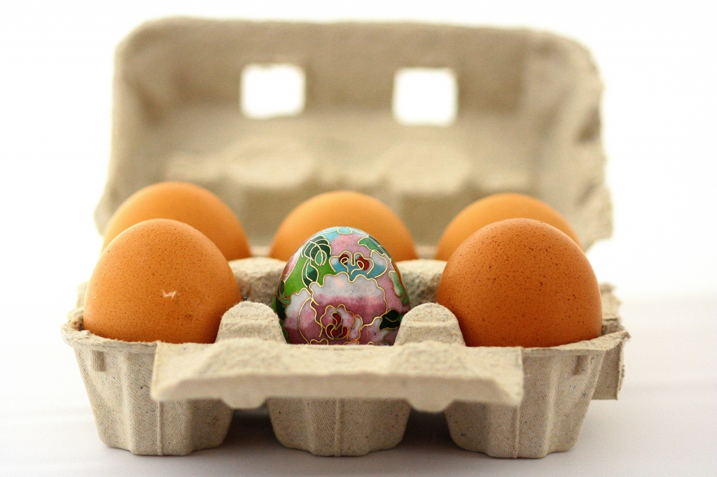 La gallina dalle uova strane