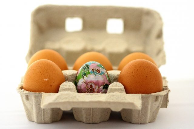 La gallina dalle uova strane · eugeniacarossa