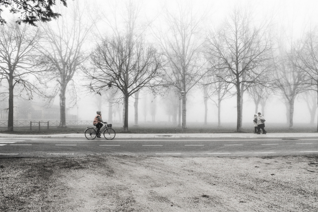 passeggiando in bicicletta....