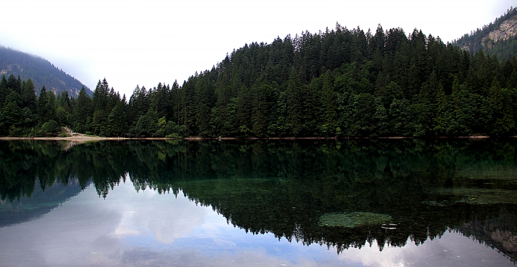 riflessi
