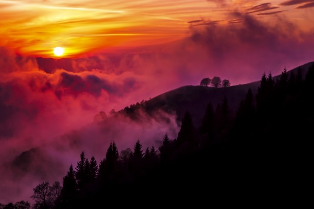 Colorata tenerezza · dandri
