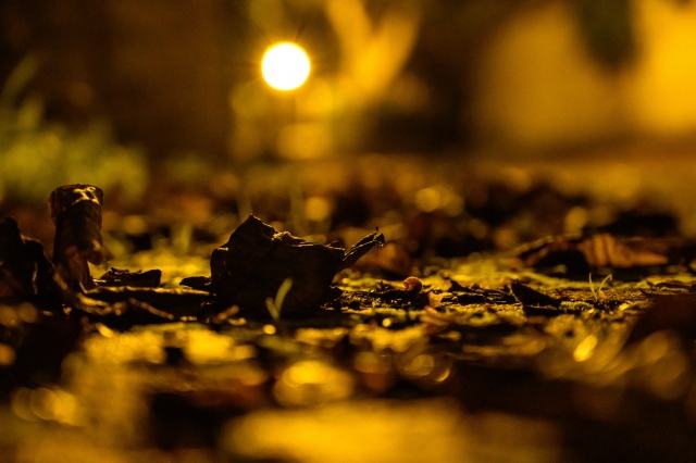 Autunno d'inverno